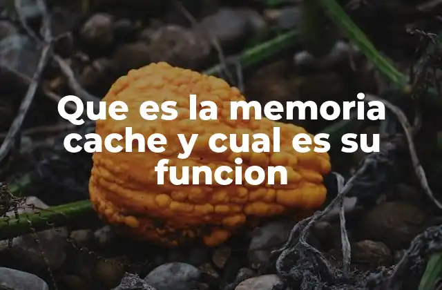 Que es la Memoria Cache y Cual es Su Funcion
