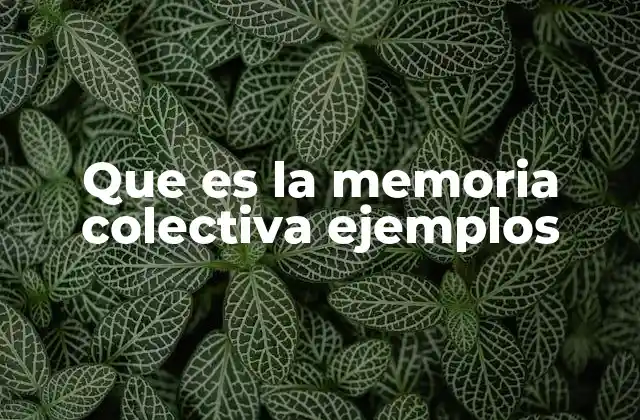 Que es la Memoria Colectiva Ejemplos