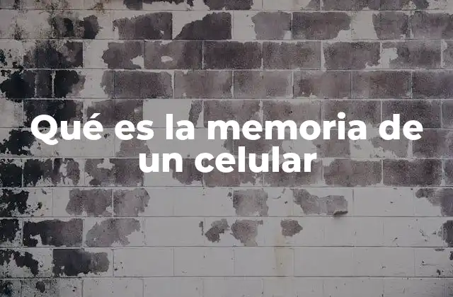 Qué es la Memoria de un Celular 2 Cómo funciona la memoria en un teléfono inteligente