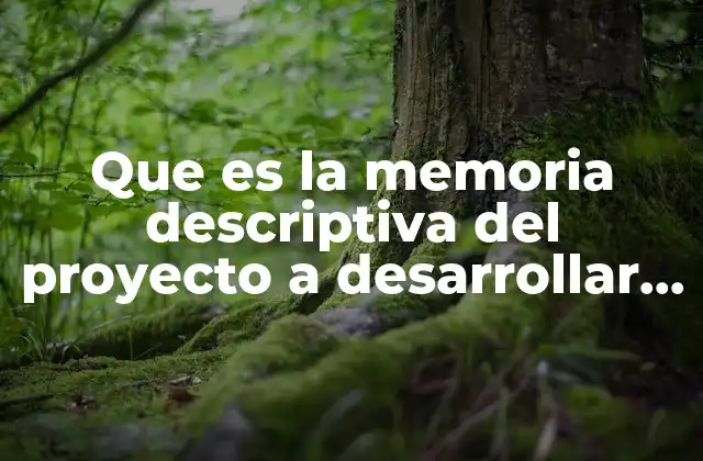 Que es la Memoria Descriptiva Del Proyecto a Desarrollar en Arquitectura