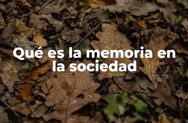 Qué es la Memoria en la Sociedad