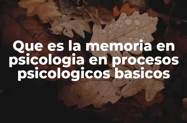 La memoria como pilar del aprendizaje y la toma de decisiones