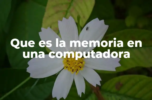 Que es la Memoria en una Computadora