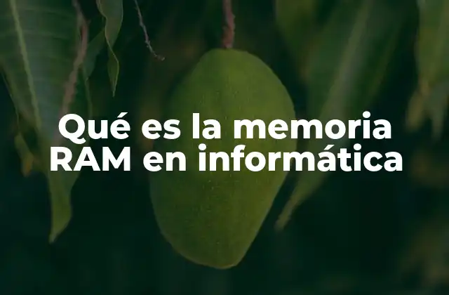 Qué es la Memoria Ram en Informática