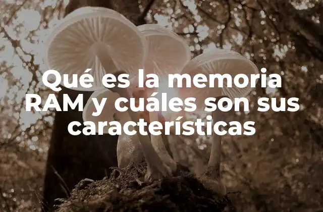 Qué es la Memoria Ram y Cuáles Son Sus Características