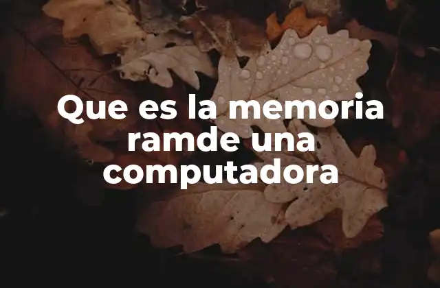 Que es la Memoria Ramde una Computadora