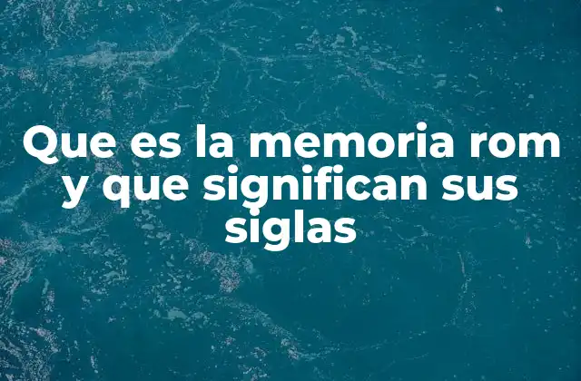 Que es la Memoria Rom y que Significan Sus Siglas