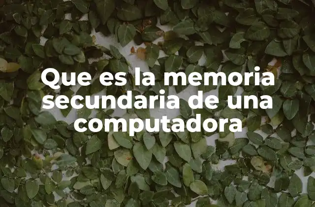 Que es la Memoria Secundaria de una Computadora