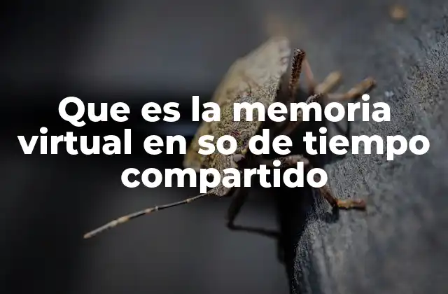 Que es la Memoria Virtual en so de Tiempo Compartido
