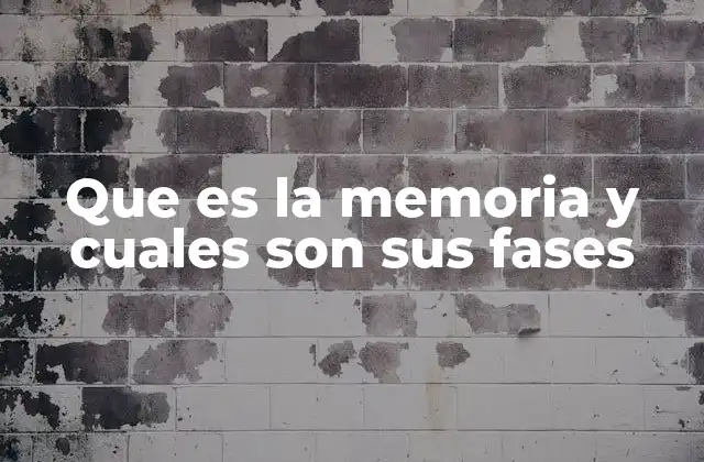 Que es la Memoria y Cuales Son Sus Fases