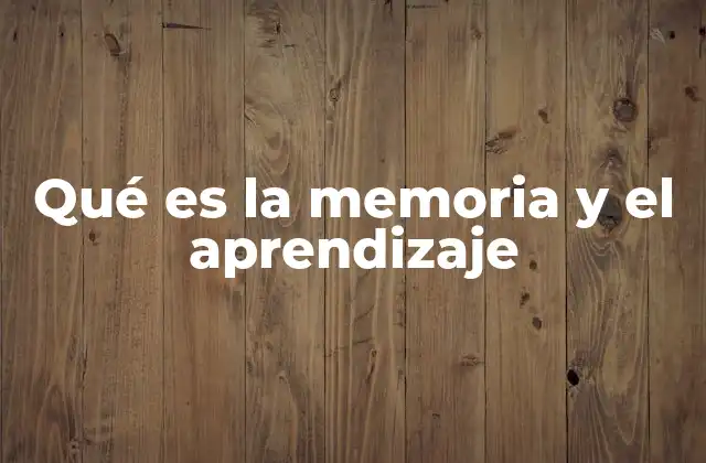 Qué es la Memoria y el Aprendizaje