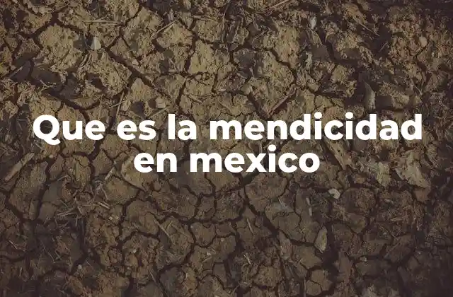Que es la Mendicidad en Mexico