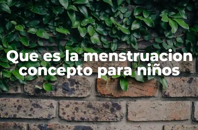 Que es la Menstruacion Concepto para Niños