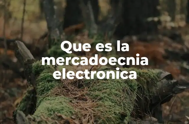 Que es la Mercadoecnia Electronica
