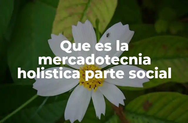 Que es la Mercadotecnia Holistica Parte Social
