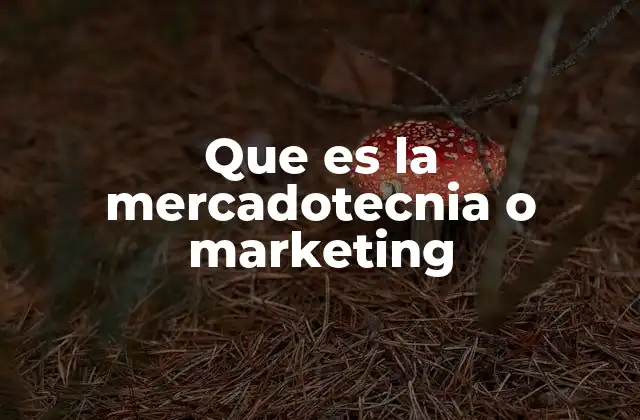 Que es la Mercadotecnia o Marketing