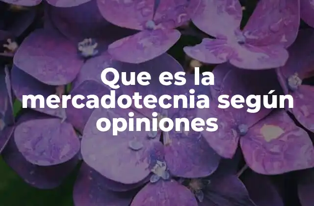 Que es la Mercadotecnia según Opiniones