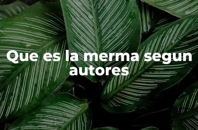 Que es la Merma Segun Autores