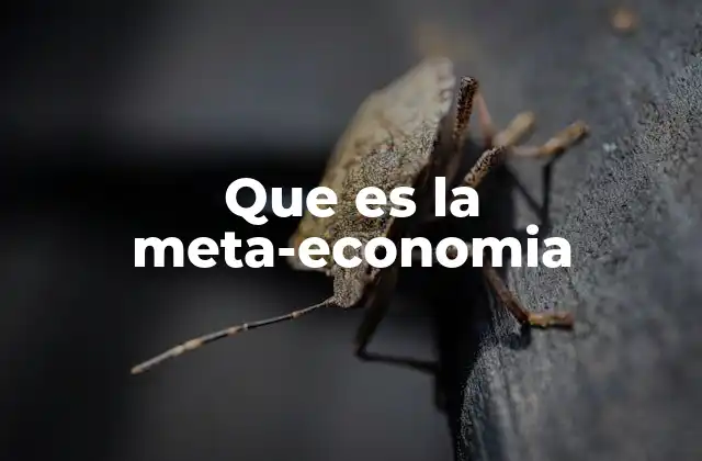 Que es la Meta-economia
