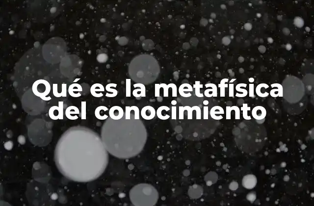 Qué es la Metafísica Del Conocimiento