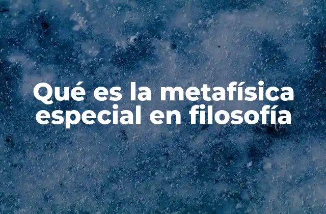 Qué es la Metafísica Especial en Filosofía