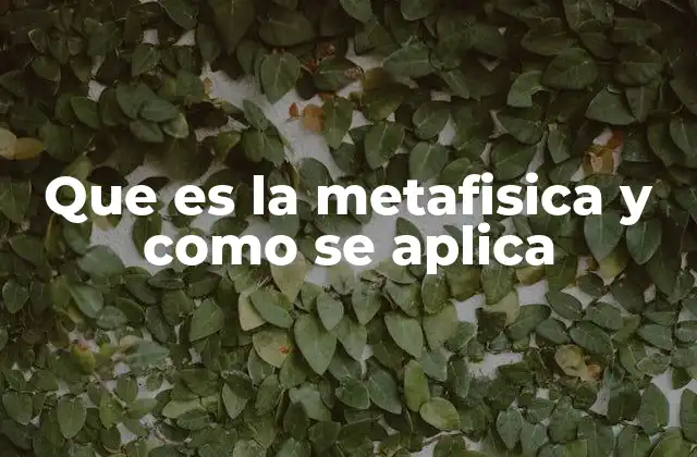 Que es la Metafisica y como Se Aplica