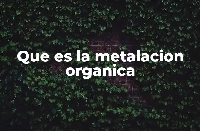 Que es la Metalacion Organica