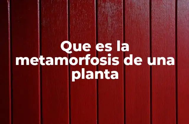 Que es la Metamorfosis de una Planta