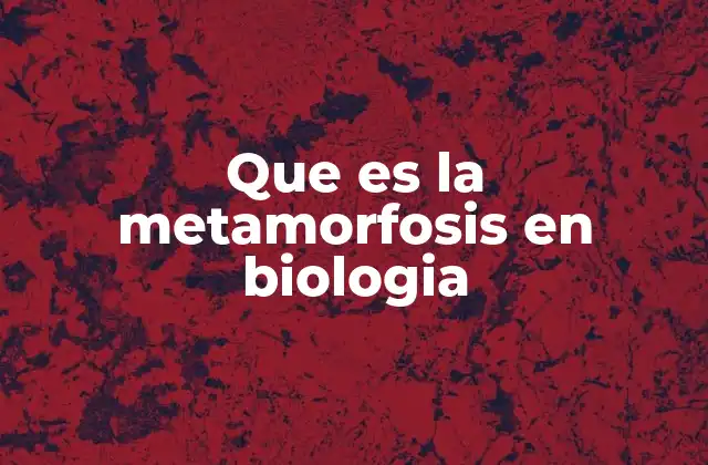 Que es la Metamorfosis en Biologia