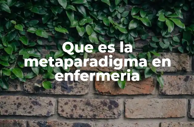 Que es la Metaparadigma en Enfermeria
