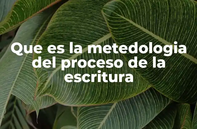 Que es la Metedologia Del Proceso de la Escritura