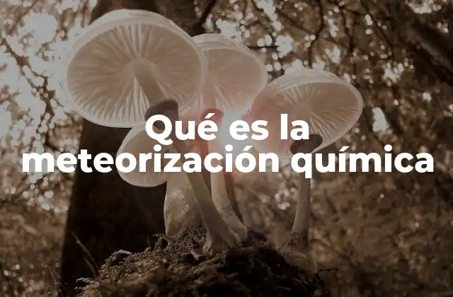 Qué es la Meteorización Química