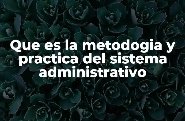 Que es la Metodogia y Practica Del Sistema Administrativo