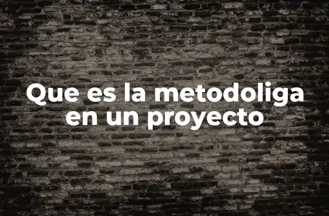 Que es la Metodoliga en un Proyecto
