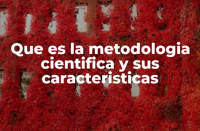 El papel de la metodología científica en la investigación