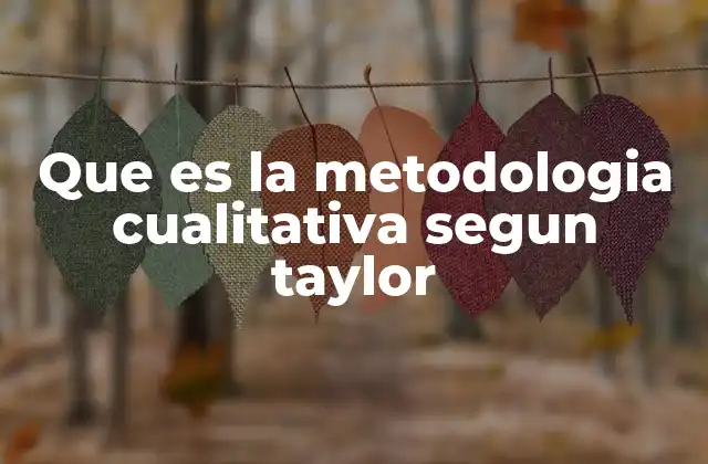 Que es la Metodologia Cualitativa Segun Taylor 2 La metodología cualitativa como herramienta para comprender la experiencia humana