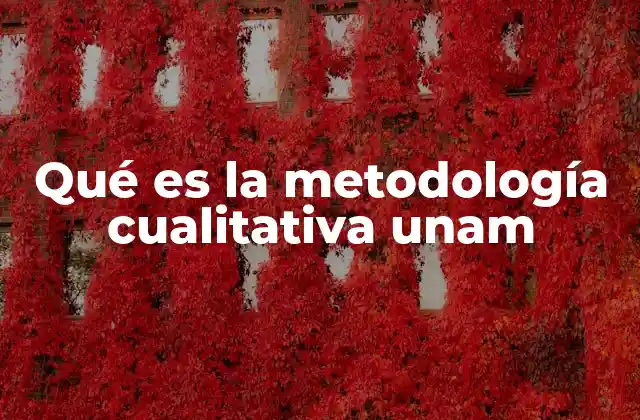 Qué es la Metodología Cualitativa Unam