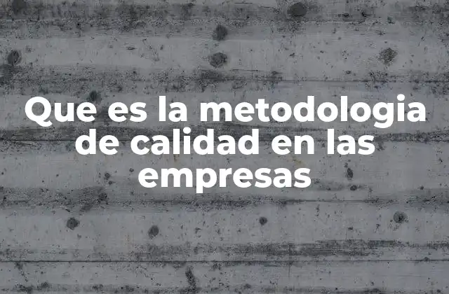 Que es la Metodologia de Calidad en las Empresas