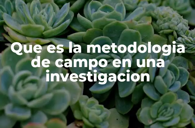 Que es la Metodologia de Campo en una Investigacion