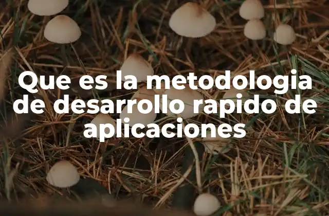 Que es la Metodologia de Desarrollo Rapido de Aplicaciones