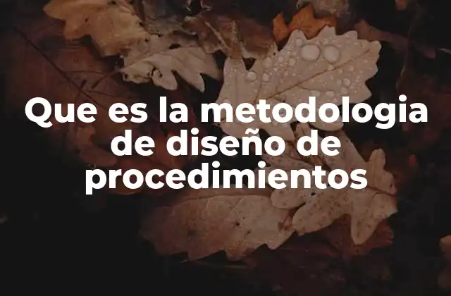 Que es la Metodologia de Diseño de Procedimientos