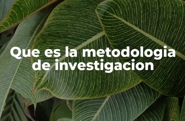 Que es la Metodologia de Investigacion