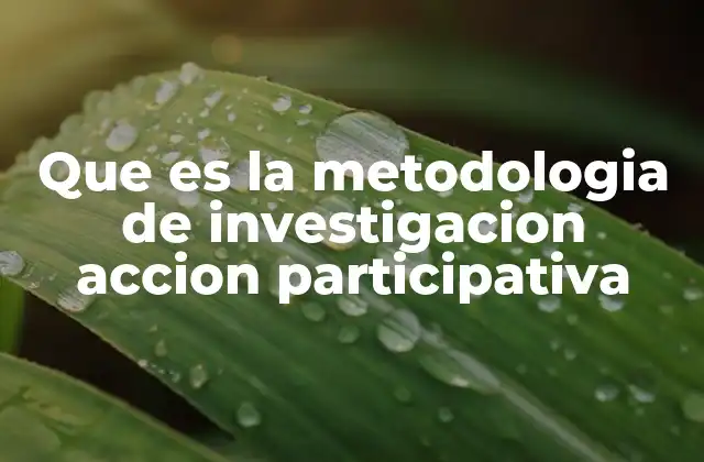Que es la Metodologia de Investigacion Accion Participativa