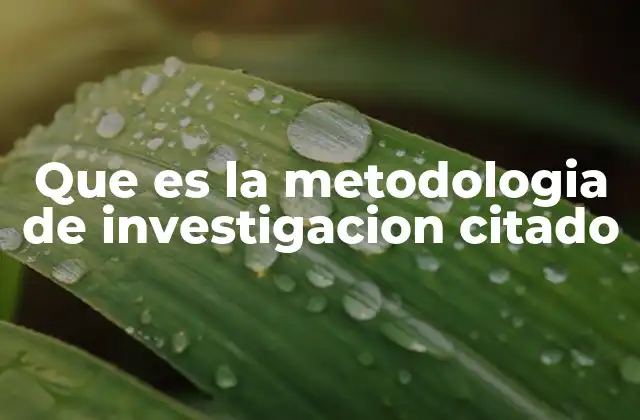 Que es la Metodologia de Investigacion Citado