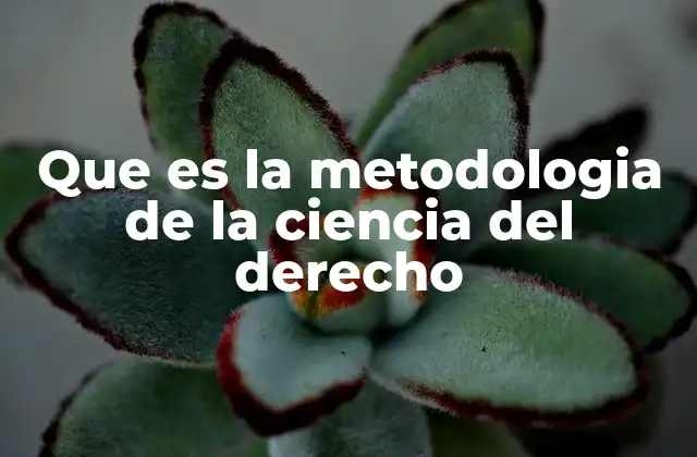 Que es la Metodologia de la Ciencia Del Derecho