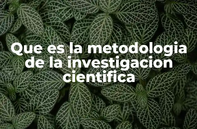 Que es la Metodologia de la Investigacion Cientifica