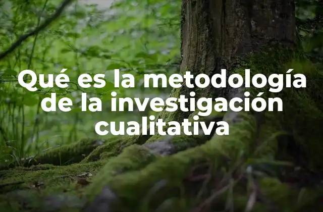 Qué es la Metodología de la Investigación Cualitativa