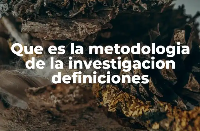 Que es la Metodologia de la Investigacion Definiciones