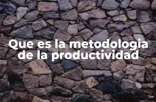 Que es la Metodologia de la Productividad