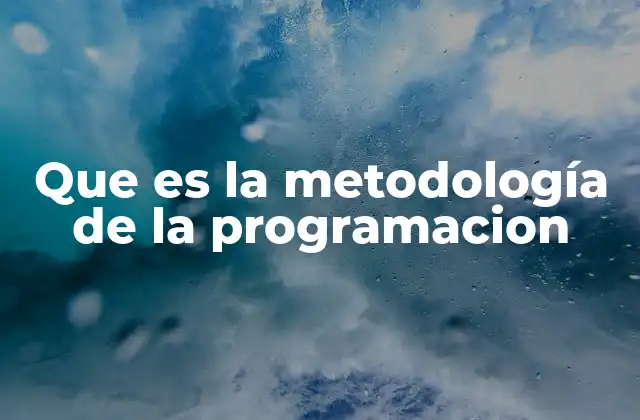 Que es la Metodología de la Programacion